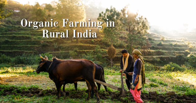 The Importance of Organic Farming in Rural India